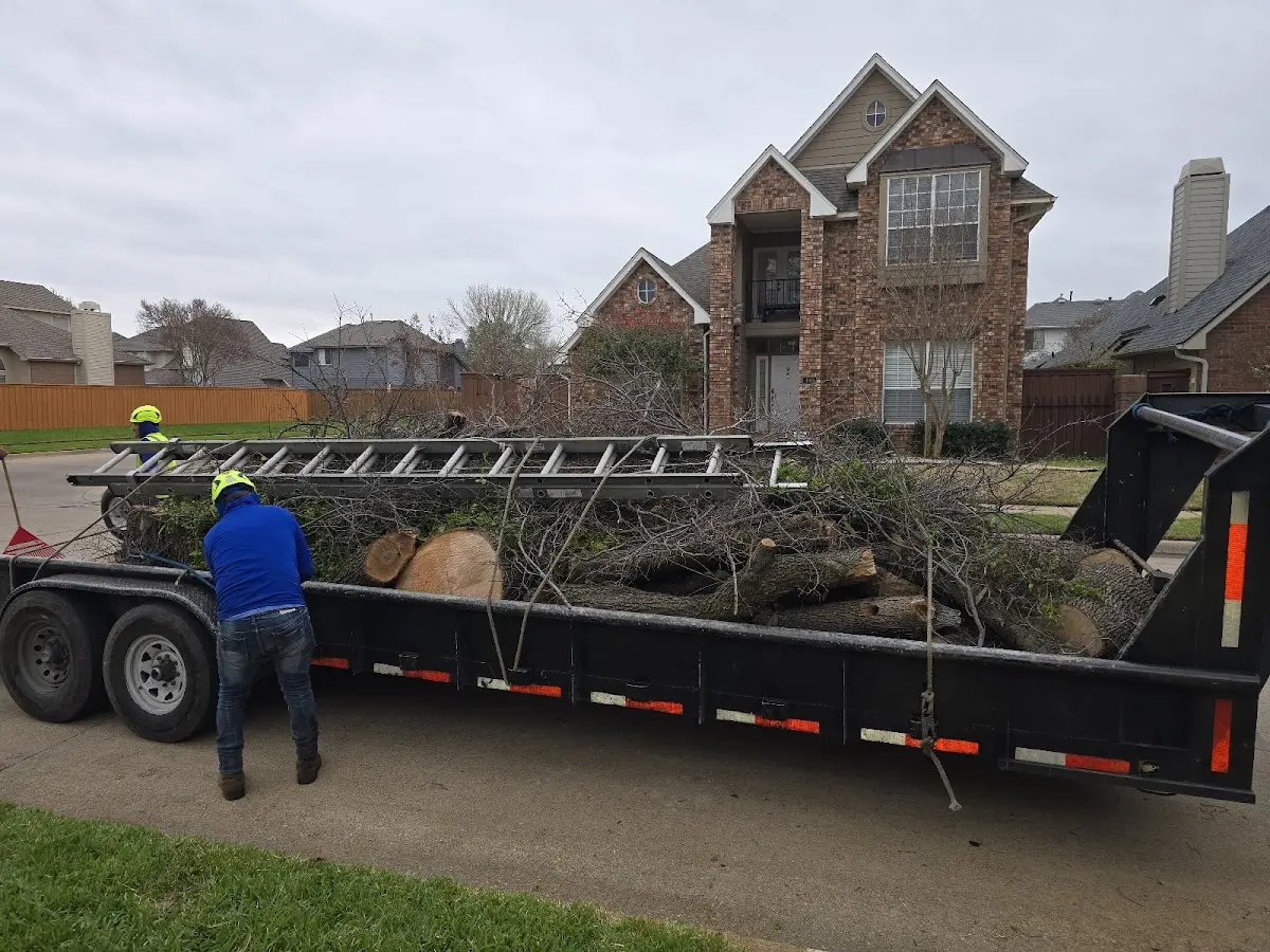 Expert Tree Fertilization with proper safety equipment in Munds Park